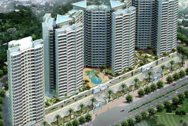 Orchid Suburbia